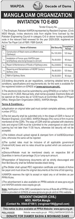WAPDA Tender Notice
